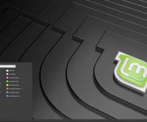 Linux Mint 19 «Tara» freigegeben