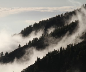 IEEE mit Standard fürs Fog-Computing