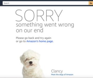 Streiks und Ausfälle am Amazon Prime Day