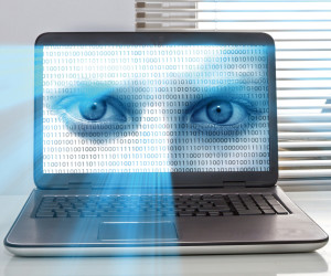 4 Browser für mehr Privacy