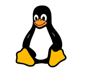 Linux ist anfällig für Denial-of-Service-Angriffe