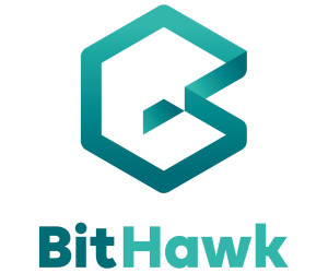 Aus Bison IT Services wird BitHawk