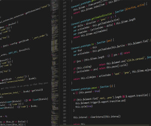 Java und JavaScript sind die Top-Sprachen