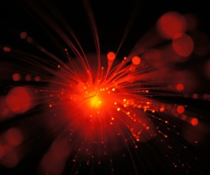 Glasfasernetze sollen nicht entbündelt werden