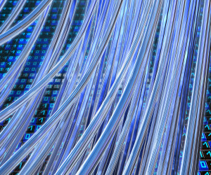 Kalifornien geht bei Netzneutralität eigene Wege